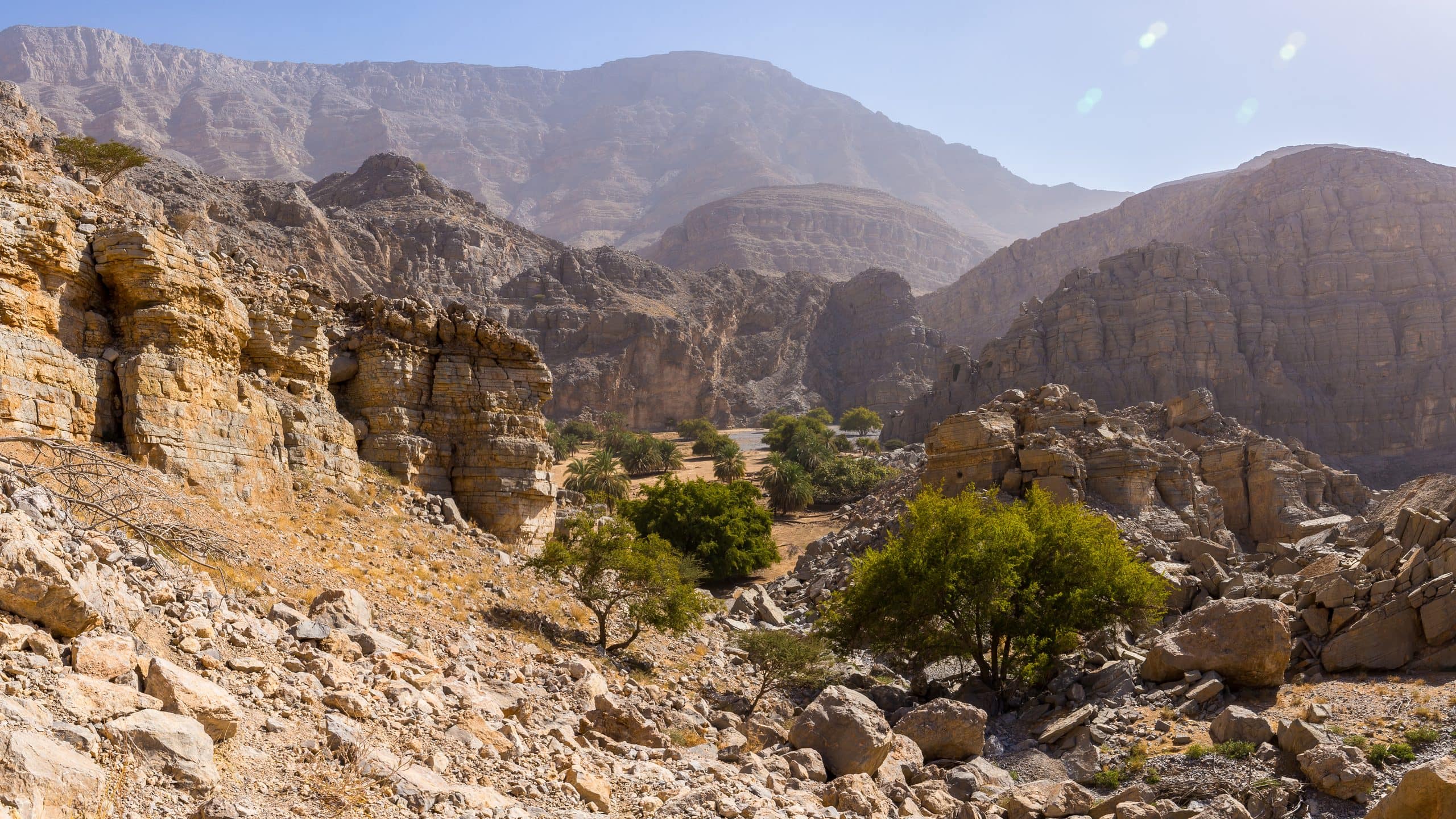 واحة نخيل بين صخور جبل جيس في رأس الخيمة